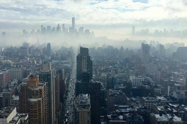 Behavioral Cloning & Liquid Neural Networks: The Rise of Sentient AI Agents in 2025