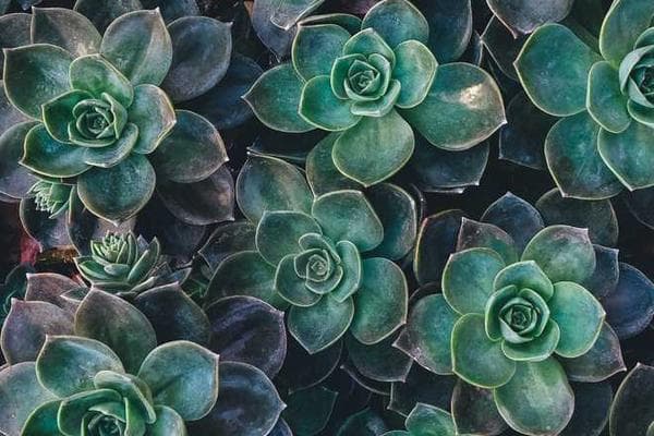 The Intersection of Quantum Computing and AI